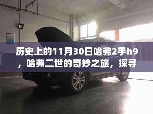 探寻自然秘境,哈弗二世的奇妙之旅与宁静的11月30日哈弗H9时光