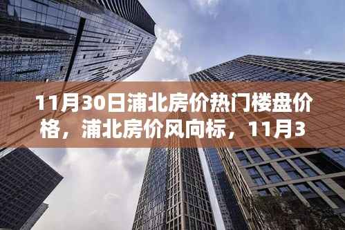 11月30日浦北热门楼盘房价探秘,最新风向标与价格走势