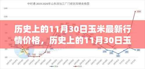 深度解析,历史上11月30日玉米行情与最新价格趋势洞察