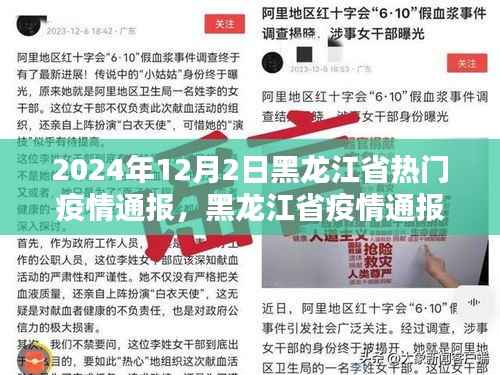 黑龙江省疫情深度通报，体验与评测报告（2024年12月2日）