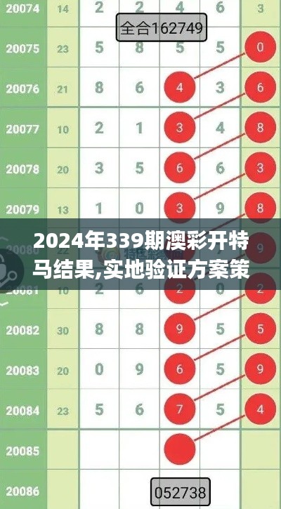 2024年339期澳彩开特马结果,实地验证方案策略_苹果款79.247-6