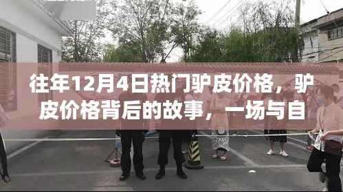 驴皮价格背后的故事,与自然美景的邂逅与寻找内心宁静之旅