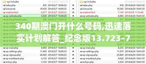 340期澳门开什么号码,迅速落实计划解答_纪念版13.723-7