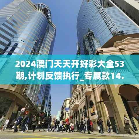 2024澳门天天开好彩大全53期,计划反馈执行_专属款14.585