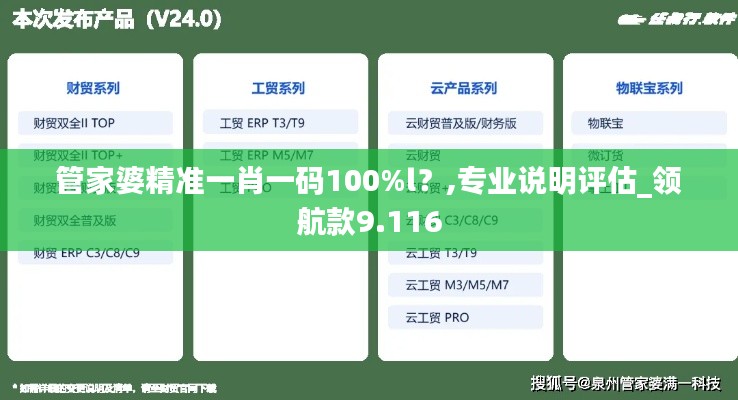 管家婆精准一肖一码100%l?,专业说明评估_领航款9.116