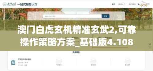 澳门白虎玄机精准玄武2,可靠操作策略方案_基础版4.108