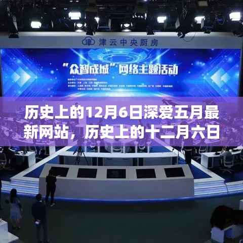 回顾历史上的十二月六日,五月网站的发展与影响深度解析
