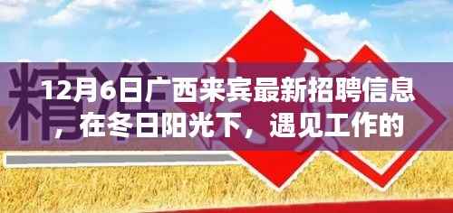 广西来宾求职奇遇记,冬日阳光下的工作温暖与友情甜香