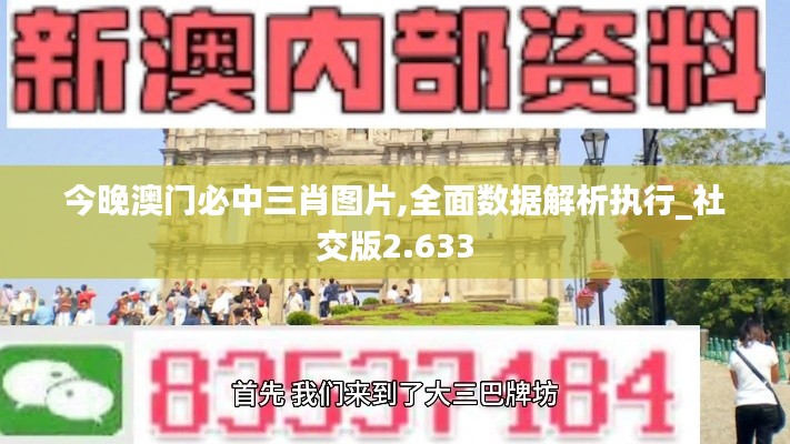 今晚澳门必中三肖图片,全面数据解析执行_社交版2.633
