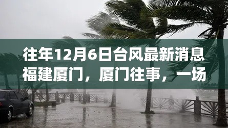 福建厦门台风最新动态,与台风的温馨邂逅回忆往昔风雨时光