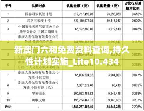 新澳门六和免费资料查询,持久性计划实施_Lite10.434