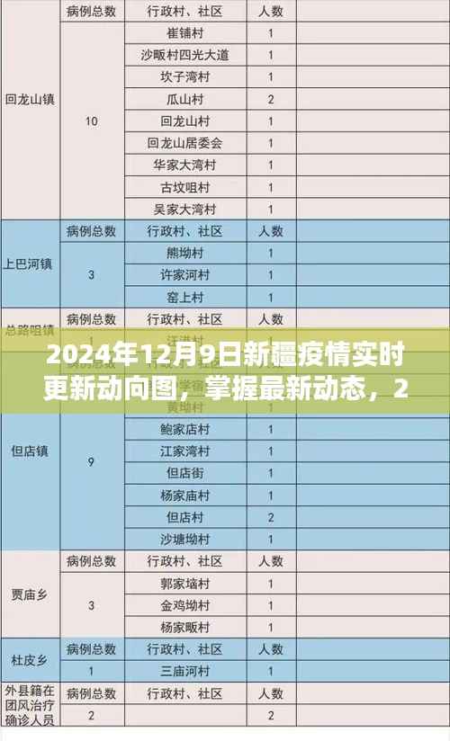 最新动态,2024年12月9日新疆疫情实时更新动向图