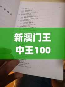 新澳门王中王100%期期中,实践调查解析说明_XE版4.490