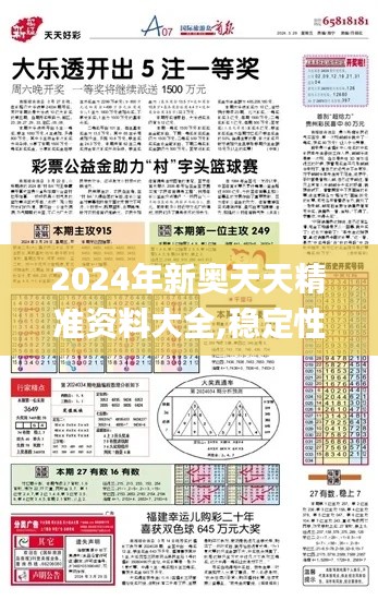2024年新奥天天精准资料大全,稳定性策略解析_AR1.915