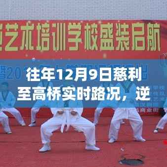 公司概况 第353页