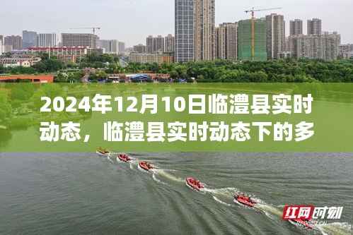 临澧县实时动态观察报告,多元视角下的深度探析(2024年12月10日观察点)