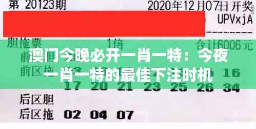 澳门今晚必开一肖一特:今夜一肖一特的最佳下注时机
