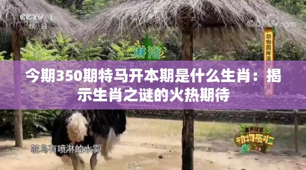 今期350期特马开本期是什么生肖:揭示生肖之谜的火热期待