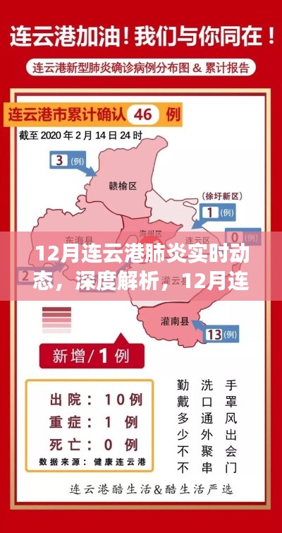 12月连云港肺炎实时动态深度解析与评测