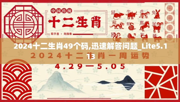 2024十二生肖49个码,迅速解答问题_Lite5.113