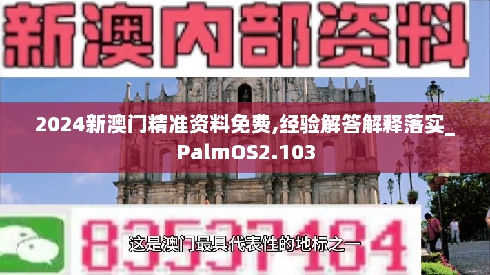 2024新澳门精准资料免费,经验解答解释落实_PalmOS2.103