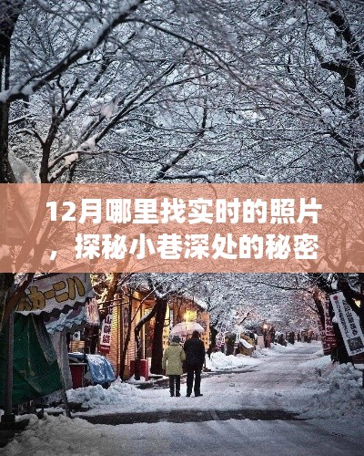 探秘十二月小巷深处的艺术角落，实时照片探寻之旅