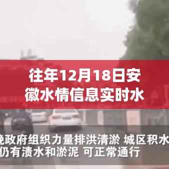安徽水情实时报告,暖心日常与奇幻水情之旅的揭秘记录