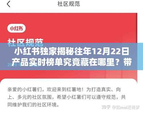 公司概况 第272页