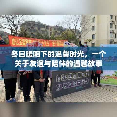 冬日暖阳下的友情时光,温馨友谊与陪伴的故事