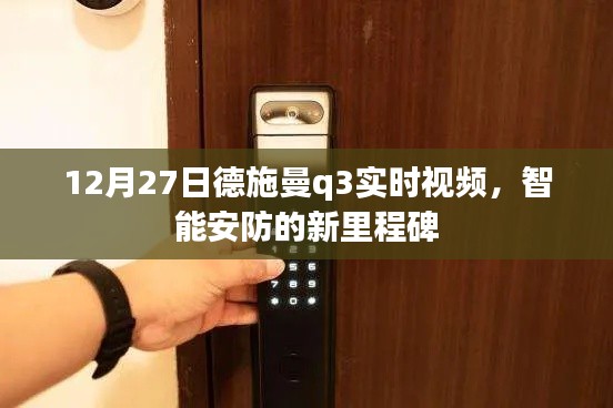 德施曼Q3实时视频,智能安防新标杆