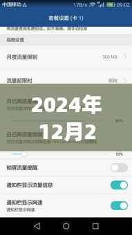 网银实时到账功能能否持续至2024年？