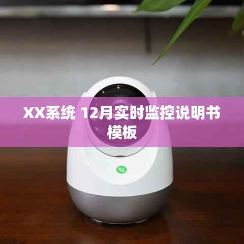 XX系统12月实时监控使用指南