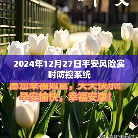 平安风险实时防控系统,保障安全,预警未来