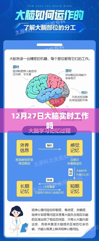 大脑实时工作状态,探究12月27日的脑活动