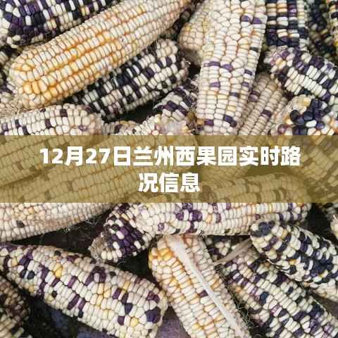 兰州西果园实时路况更新,12月27日交通信息