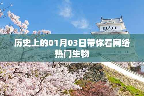 网络热门生物背后的故事,历史上的那些日子(一月三日回顾)