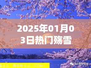 最新热门,殇雪事件回顾与影响分析