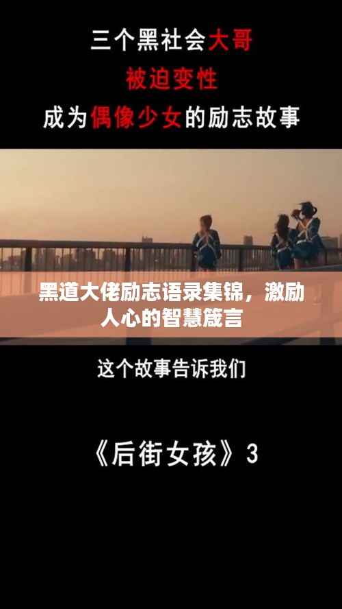 公司概况 第195页