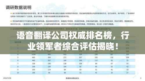 语音翻译公司权威排名榜,行业领军者综合评估揭晓!