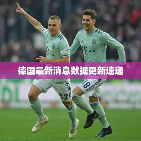 德国最新消息数据更新速递