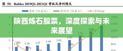 陕西炼石股票,深度探索与未来展望