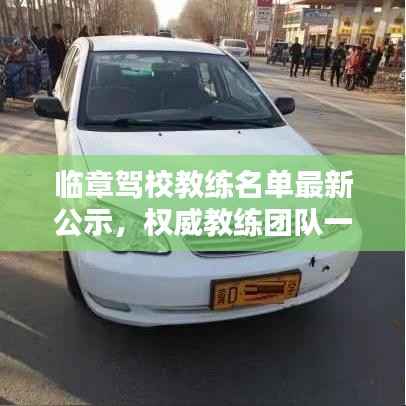 临章驾校教练名单最新公示,权威教练团队一览