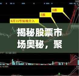 揭秘股票市场奥秘,聚焦热门股票600784走势分析