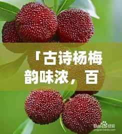 「古诗杨梅韵味浓,百度带你领略其美」