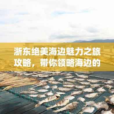 浙东绝美海边魅力之旅攻略,带你领略海边的风情万种!