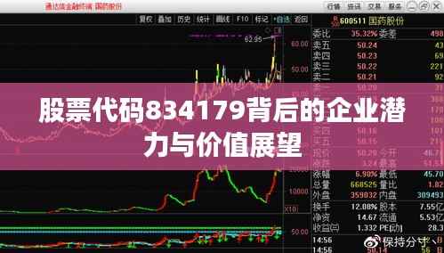 股票代码834179背后的企业潜力与价值展望