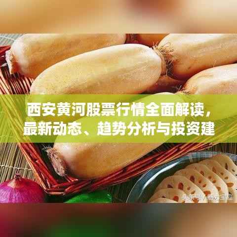 西安黄河股票行情全面解读,最新动态、趋势分析与投资建议