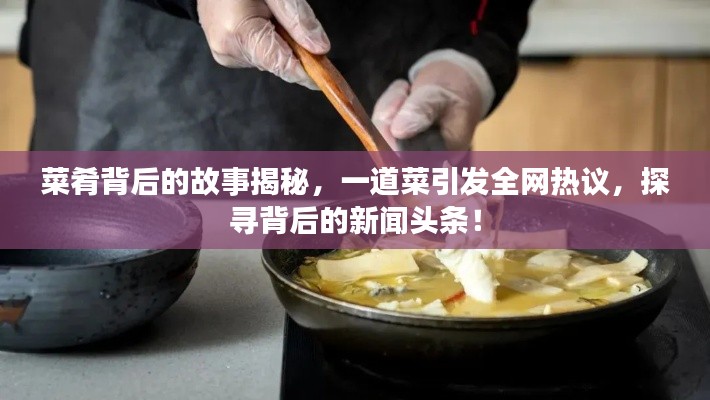 菜肴背后的故事揭秘,一道菜引发全网热议,探寻背后的新闻头条!