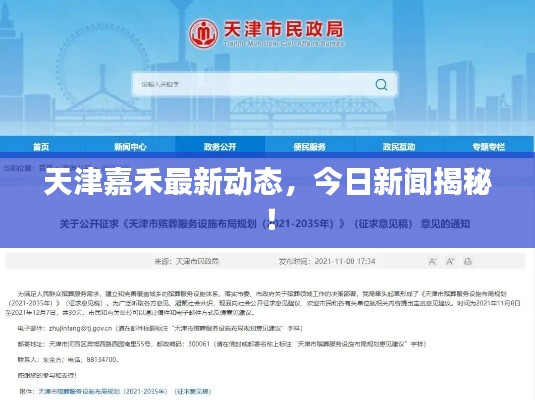 天津嘉禾最新动态,今日新闻揭秘!
