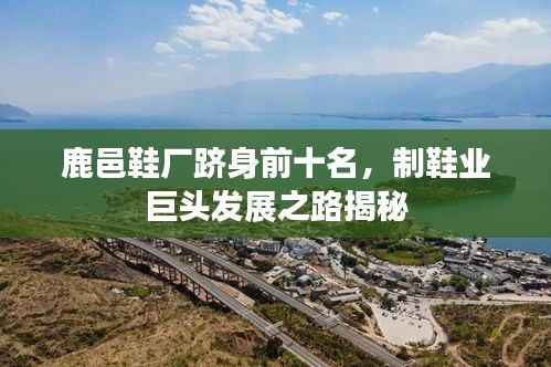 鹿邑鞋厂跻身前十名,制鞋业巨头发展之路揭秘